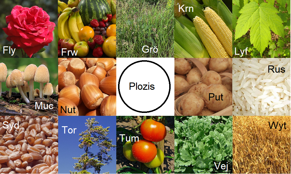v0tgil plants